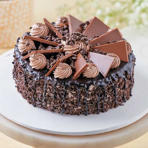 chocolate truffle cake